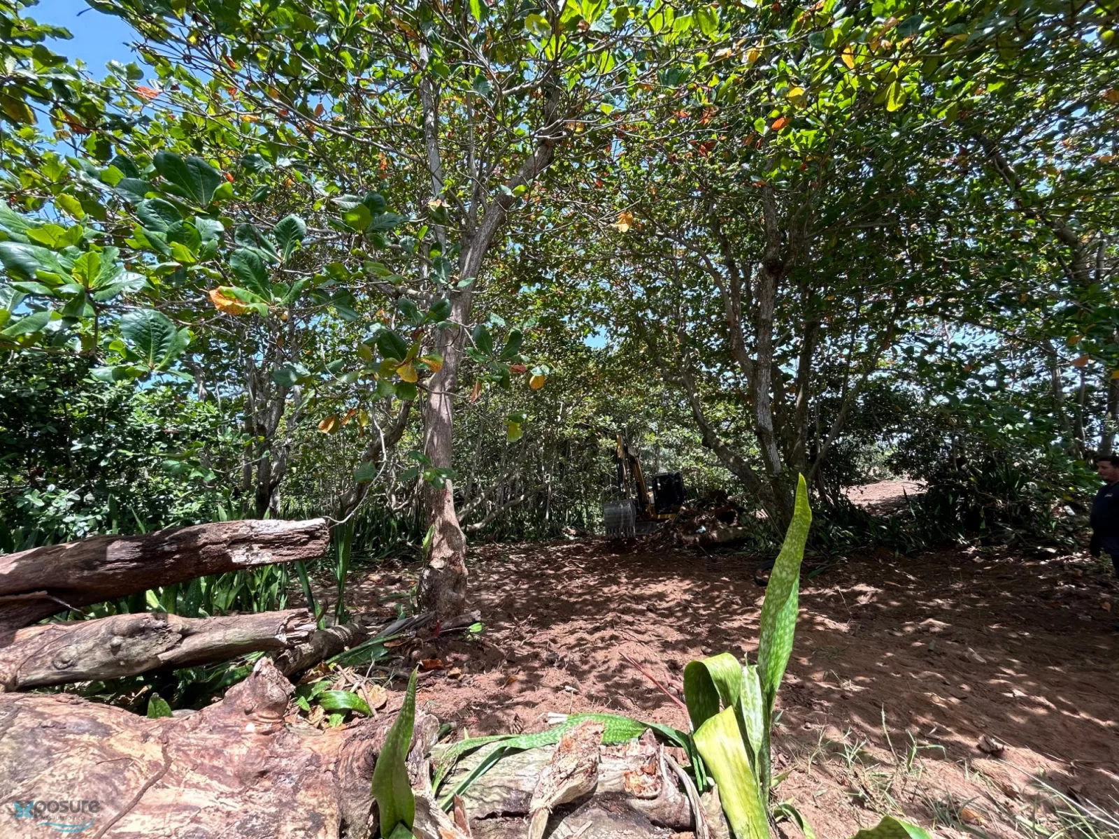 Foto 13