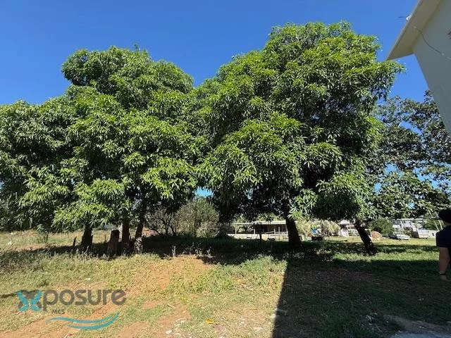 Casa en Barrio Zanjas, camuy - foto 11