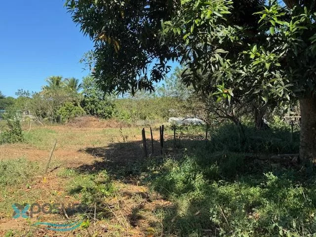 Casa en Barrio Zanjas, camuy - foto 13