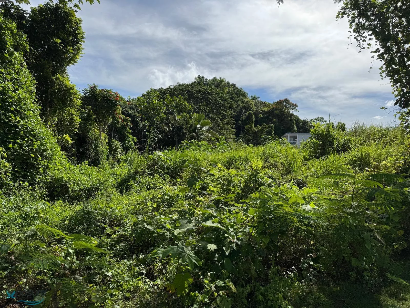 Foto 11
