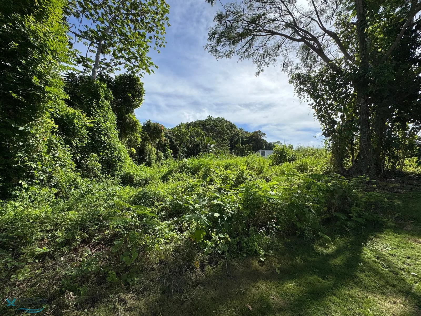 Foto 14