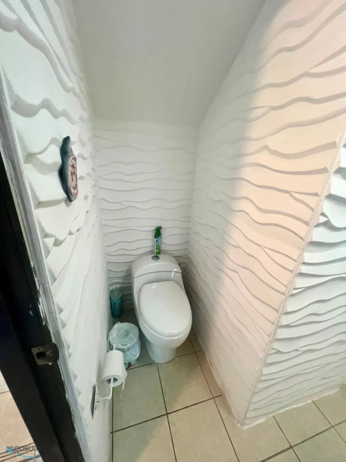 Foto 12