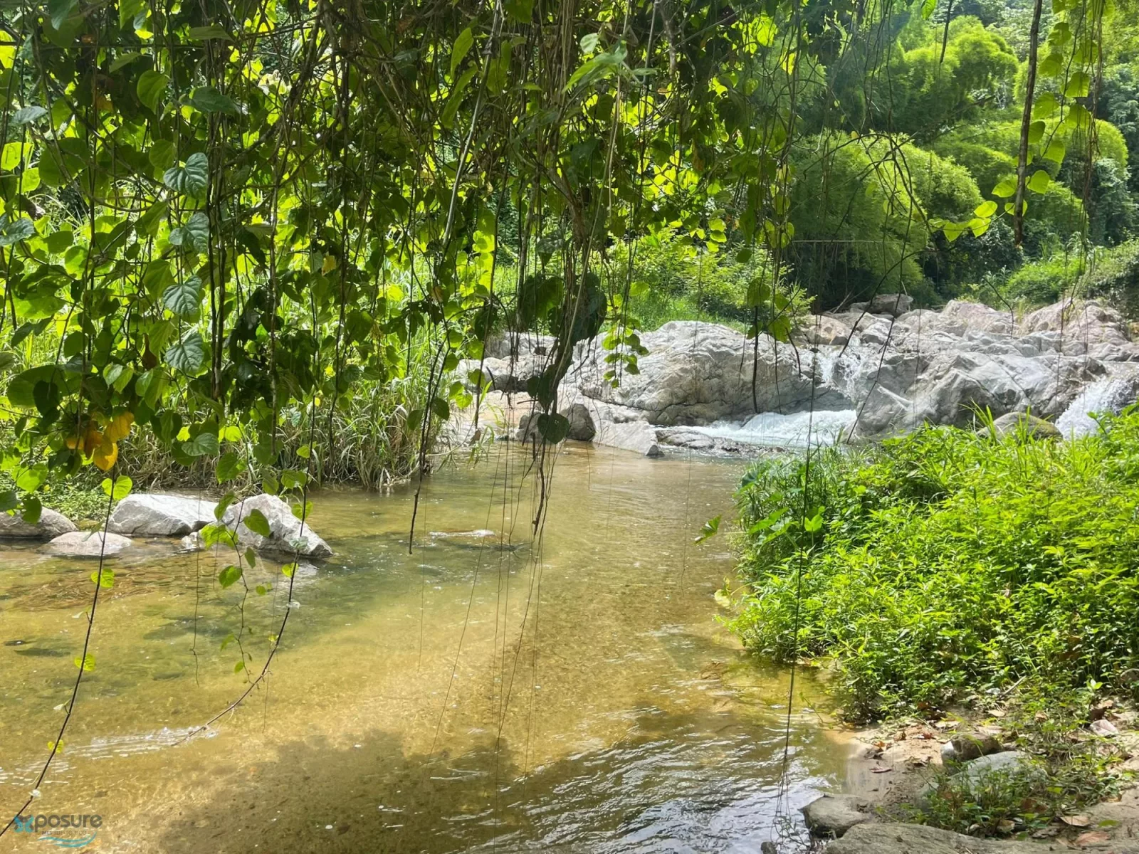 Foto 5