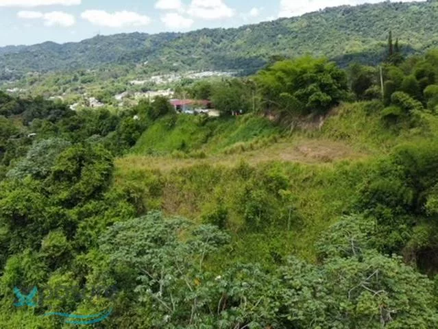 Barrio Vivi Abajo