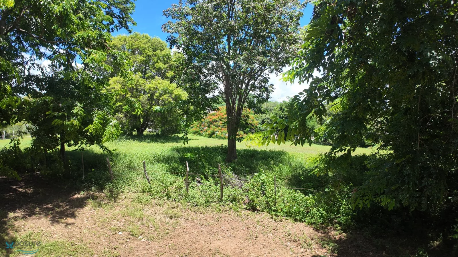 Foto 13