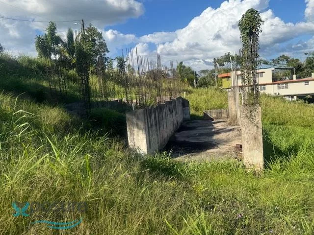 Foto 15