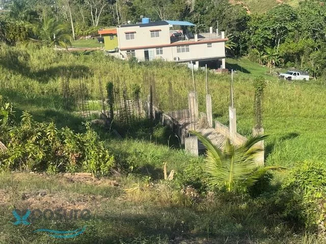 Foto 9