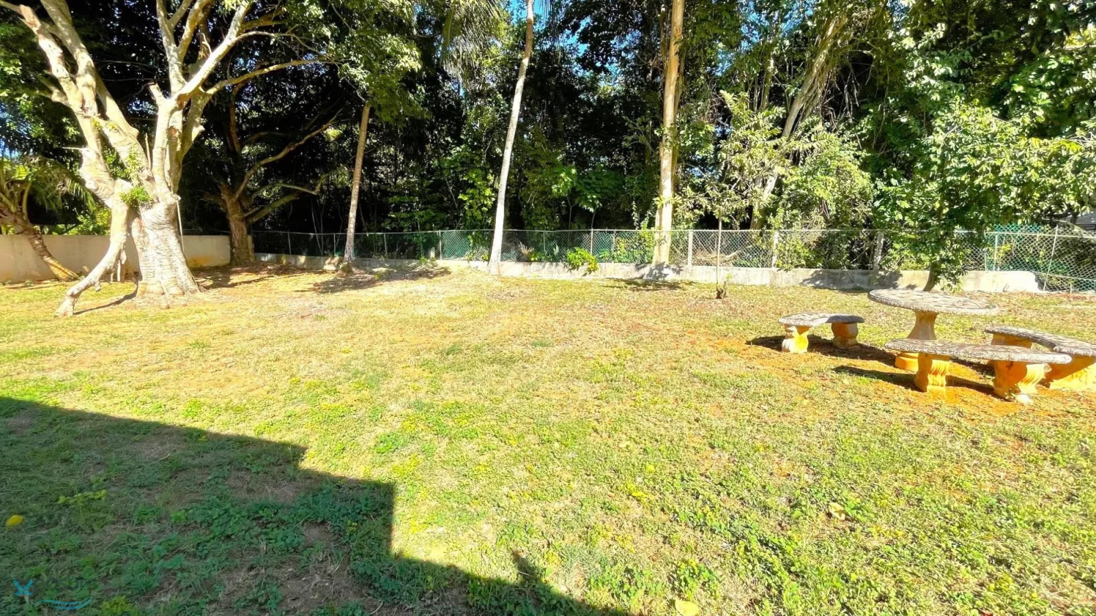 Foto 10