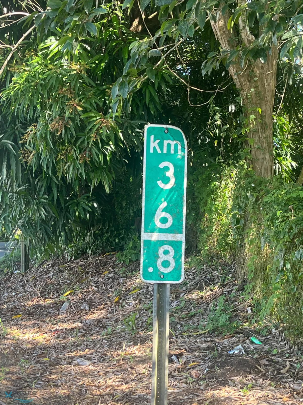 Foto 12