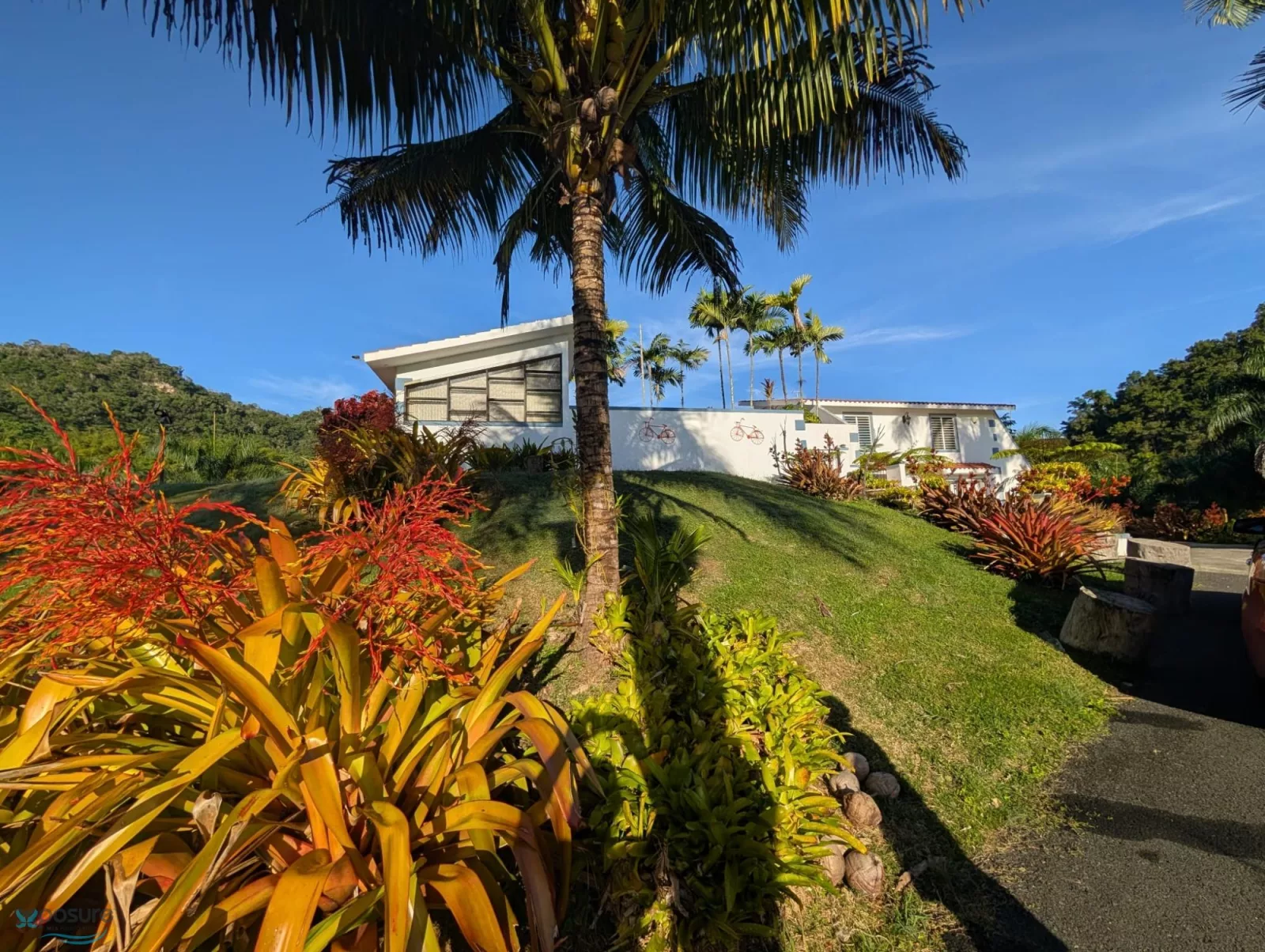 Foto 12