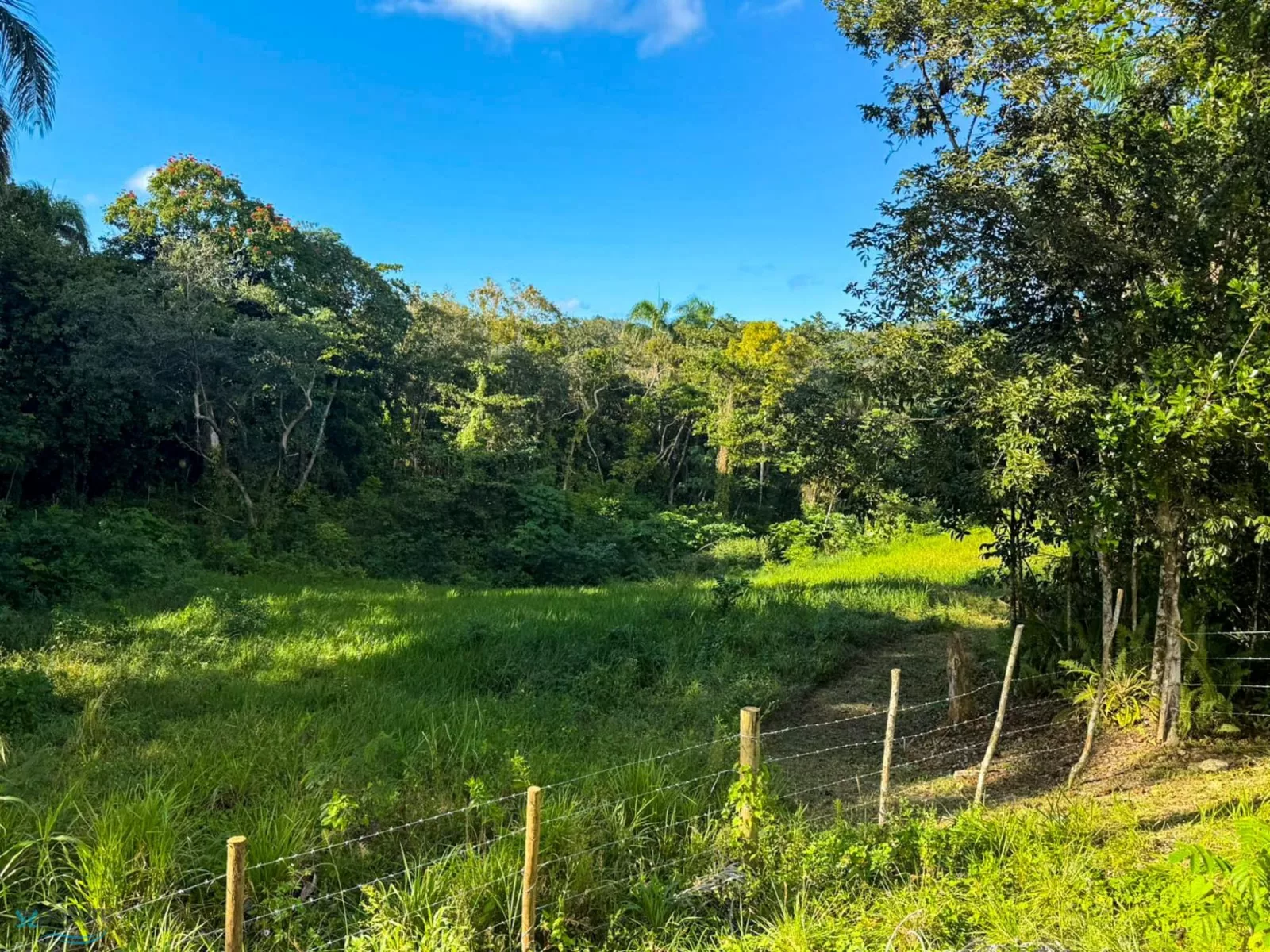 Barrio Cibao
