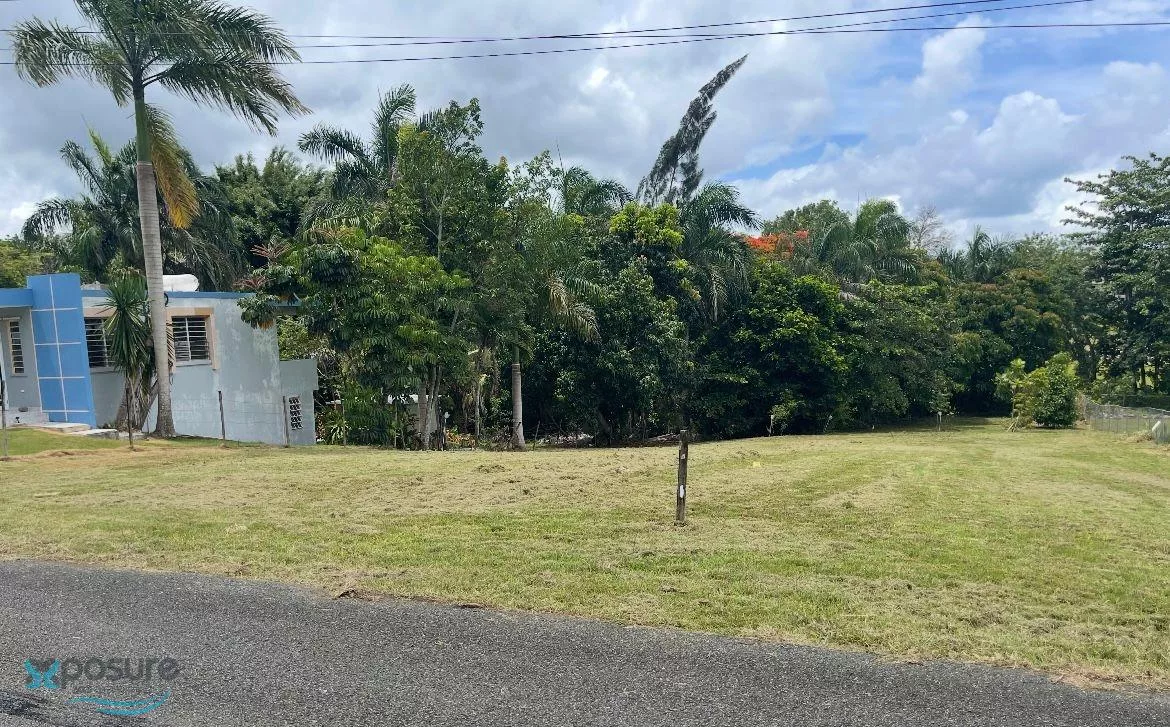 Urb. Aibonito Guerrero