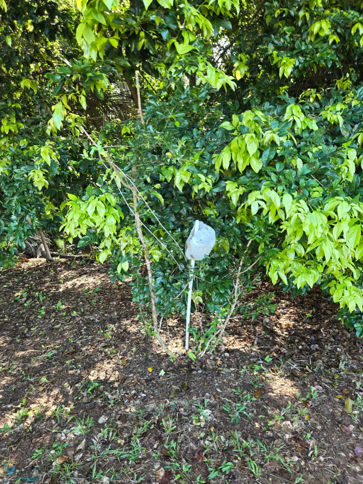 Foto 5