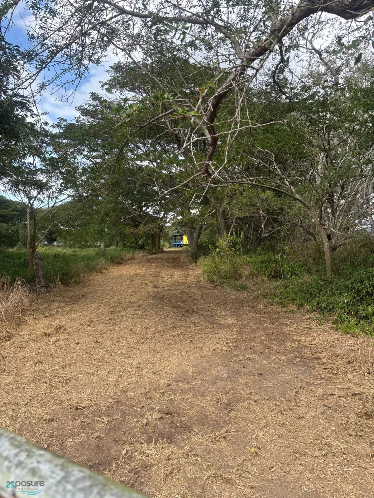 Foto 11