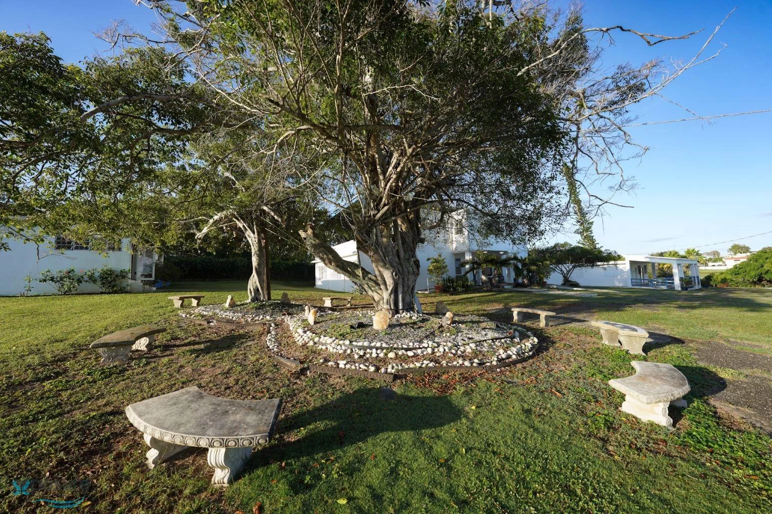 Foto 8
