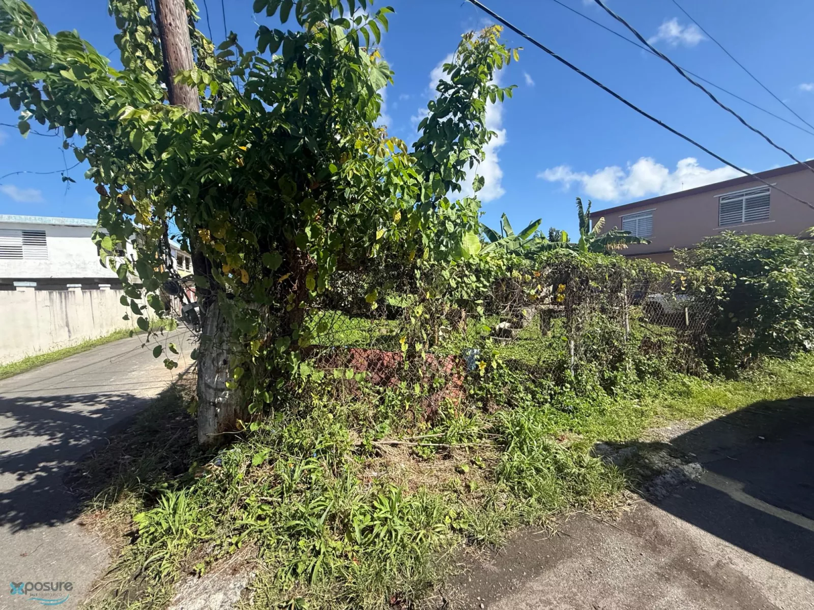 Foto 11