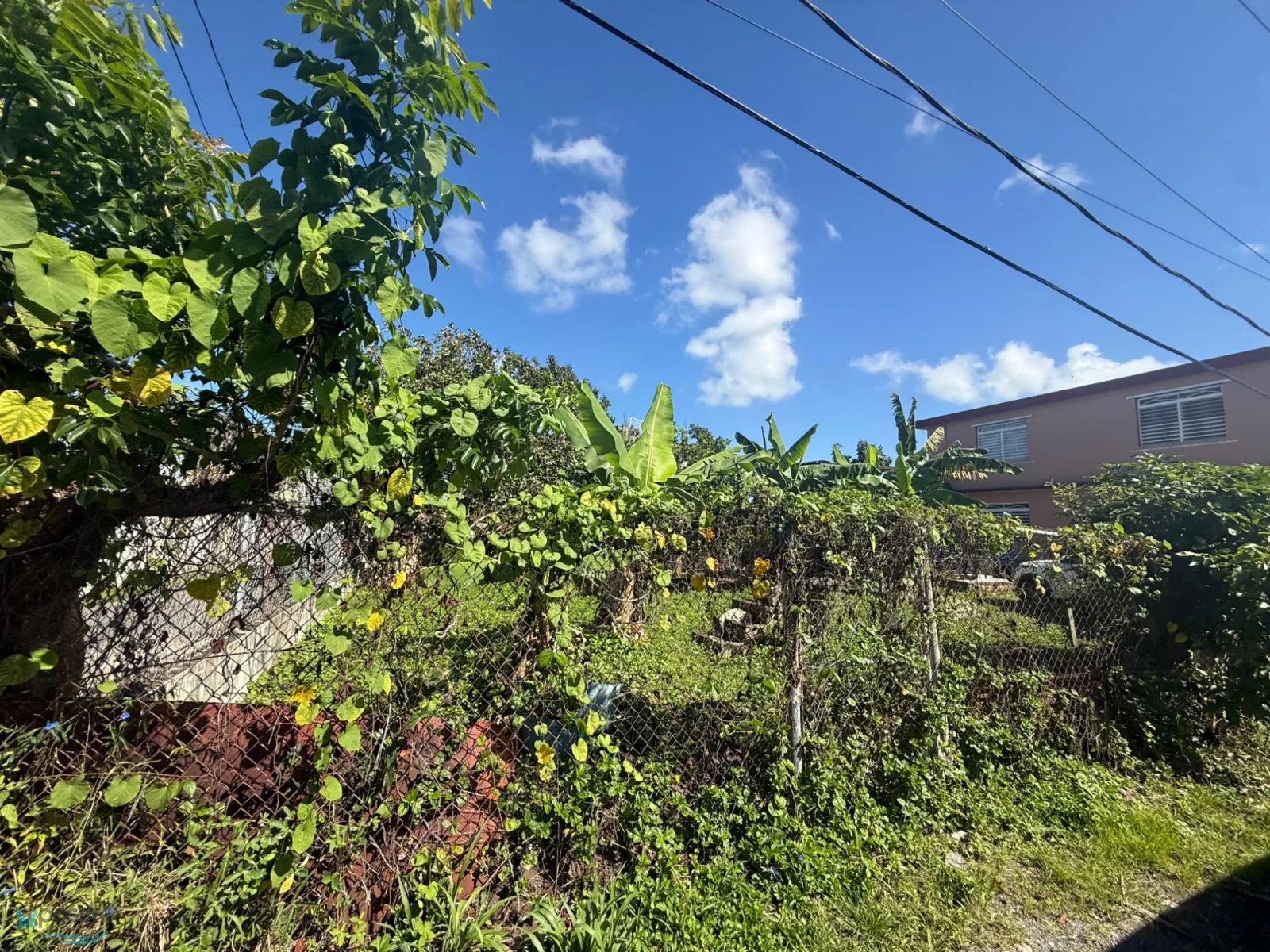 Foto 14