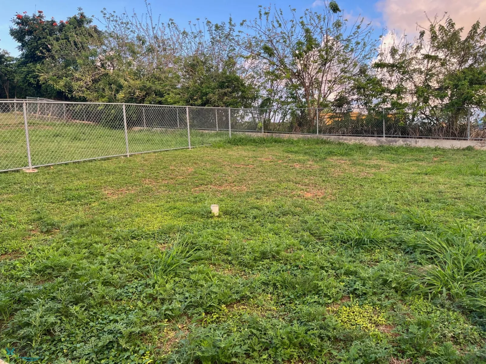 Foto 7