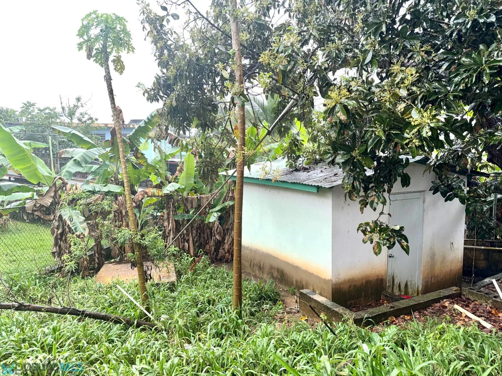 Foto 13