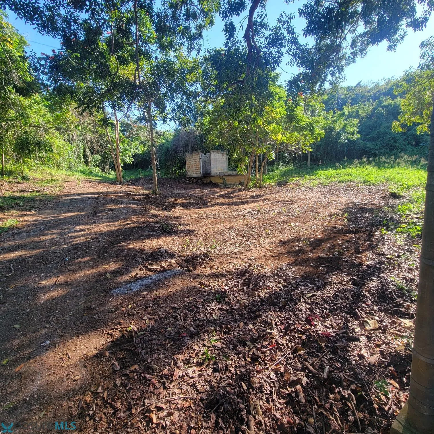 Foto 12