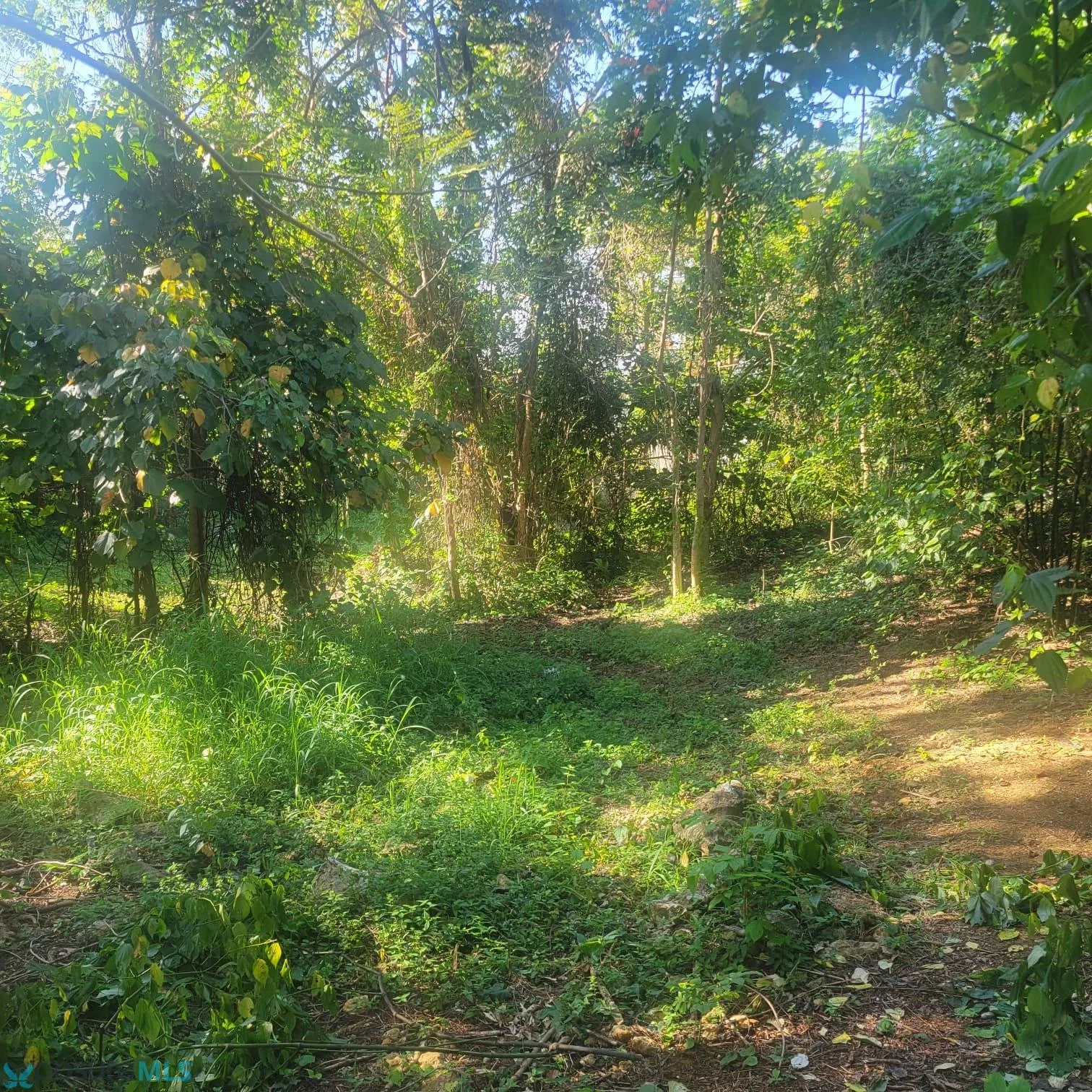 Foto 14
