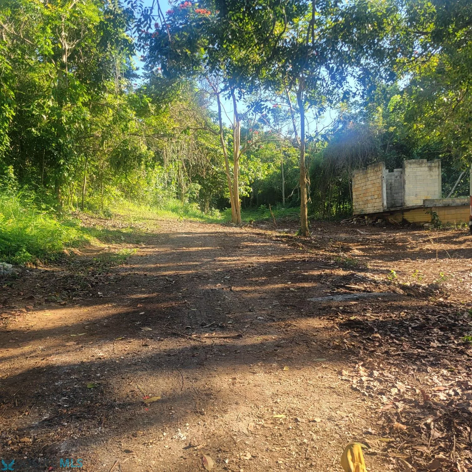 Foto 15