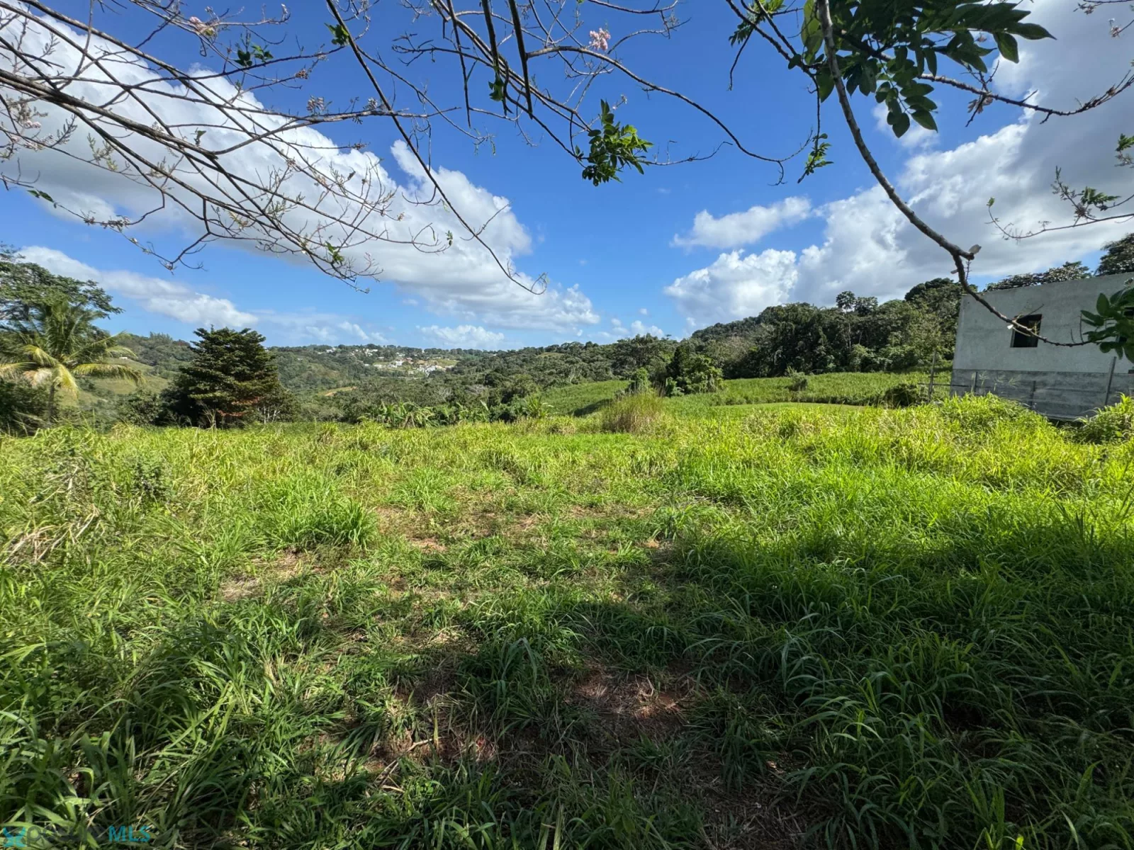 Foto 12