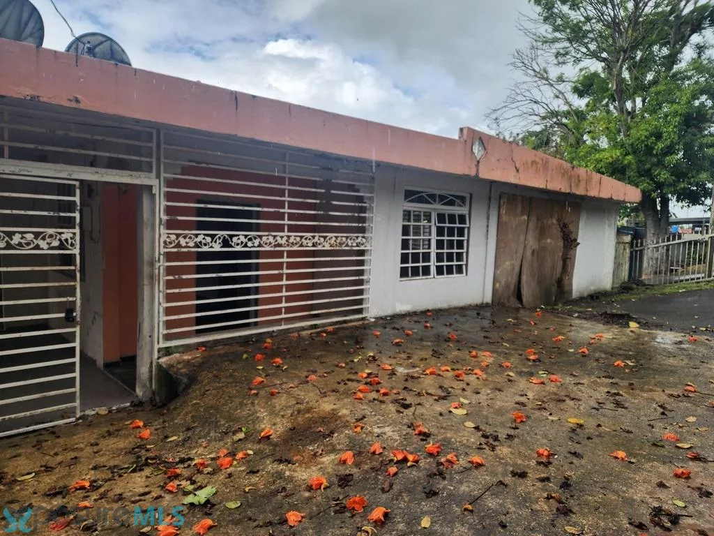 Barrio Buena Vista