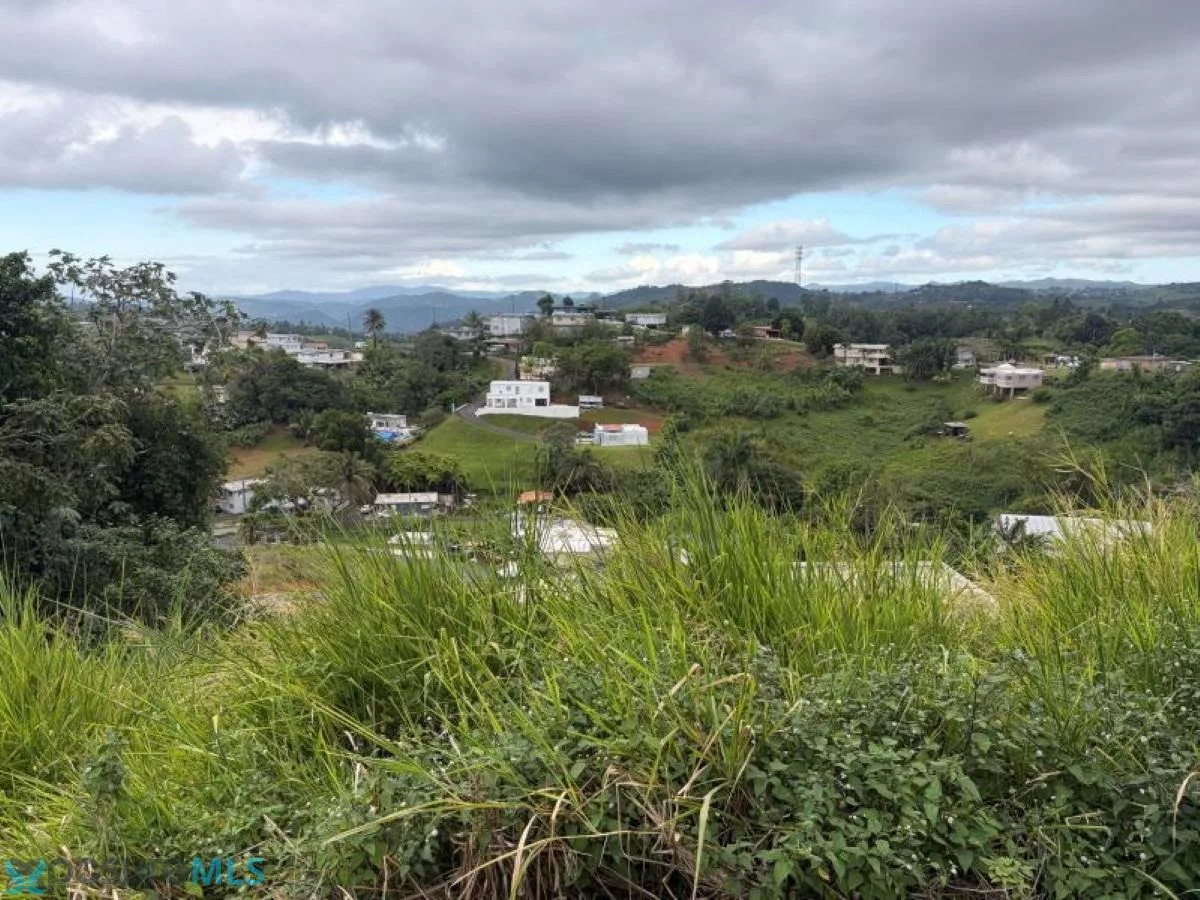 Barrio Quebradillas