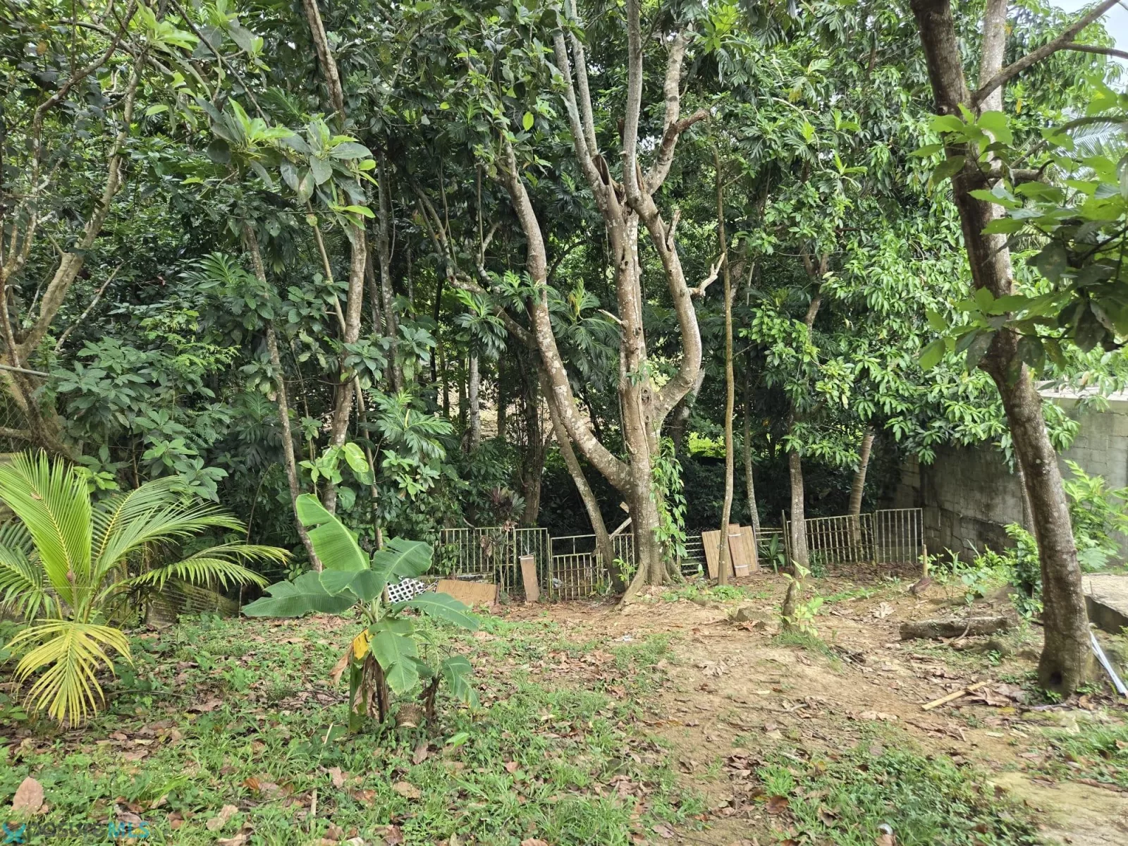 Foto 15