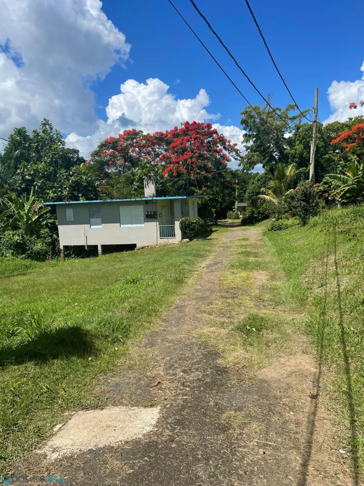 Foto 15