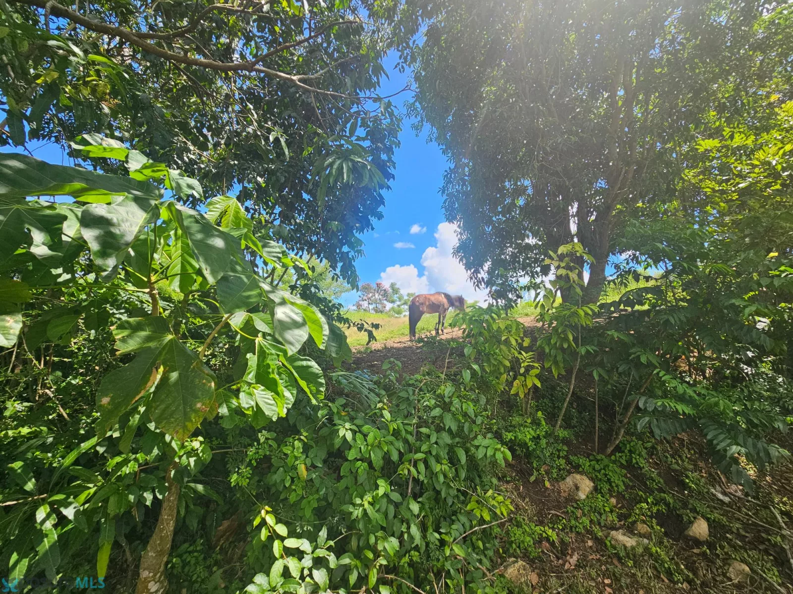Foto 10