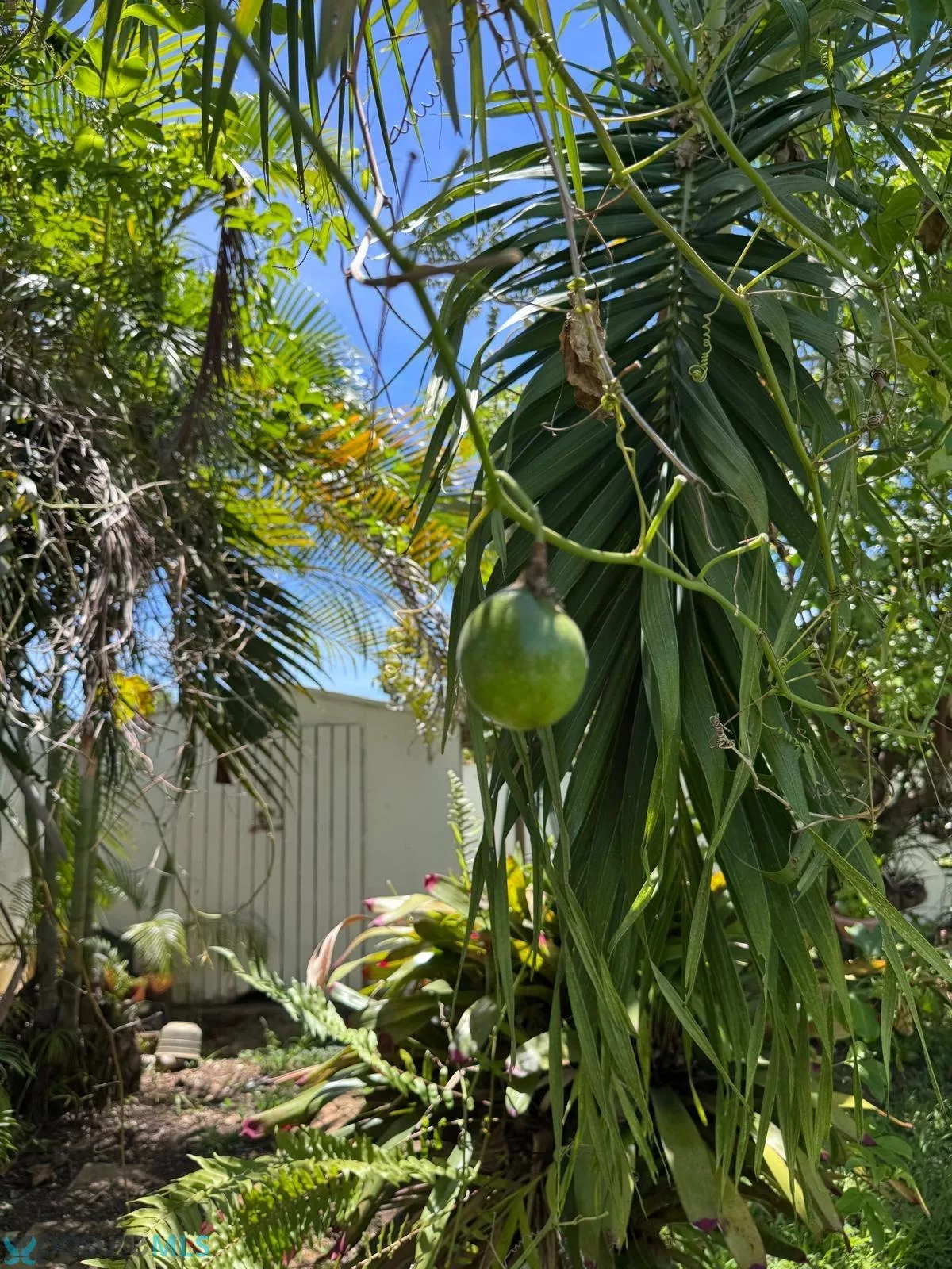 Foto 14