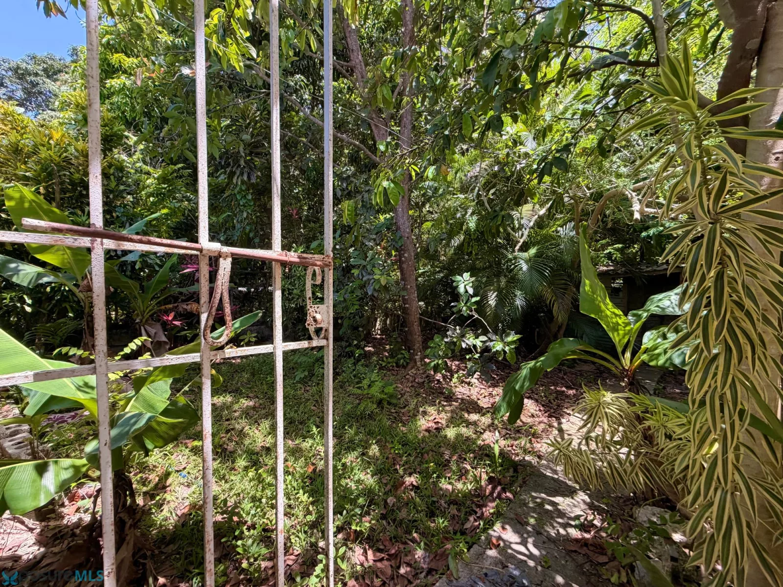 Foto 12
