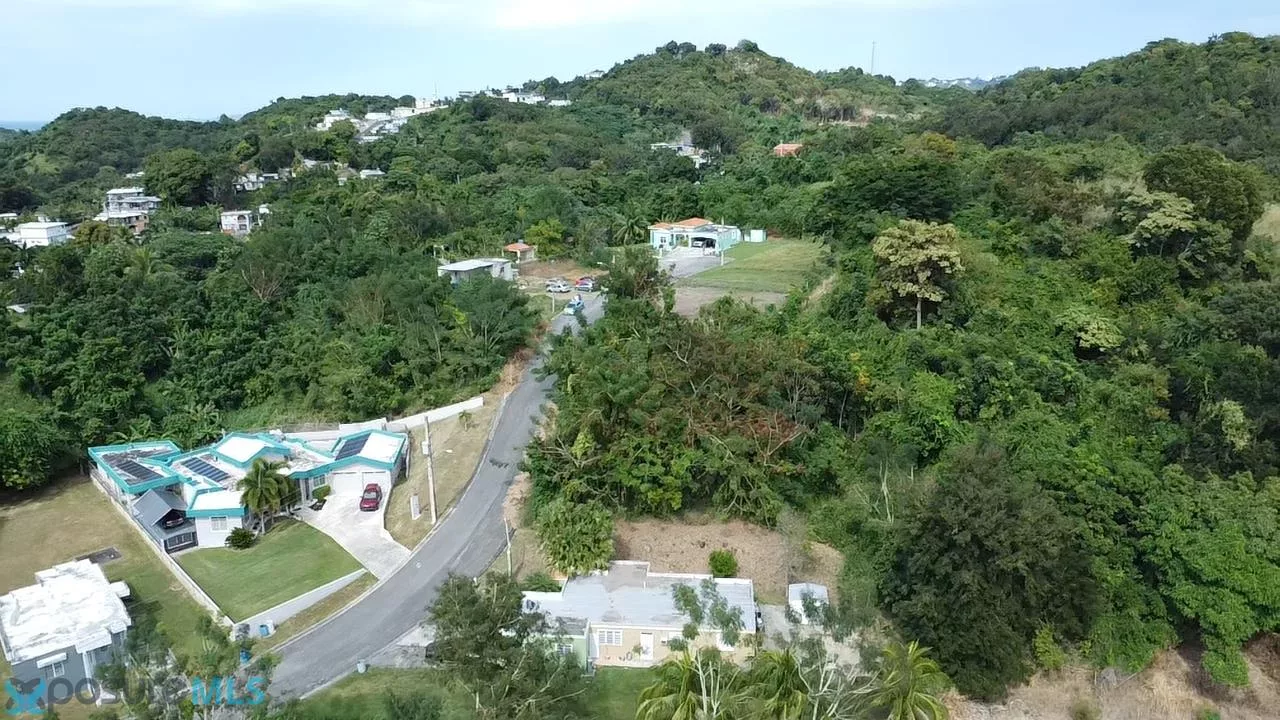 Barrio Guanajibo