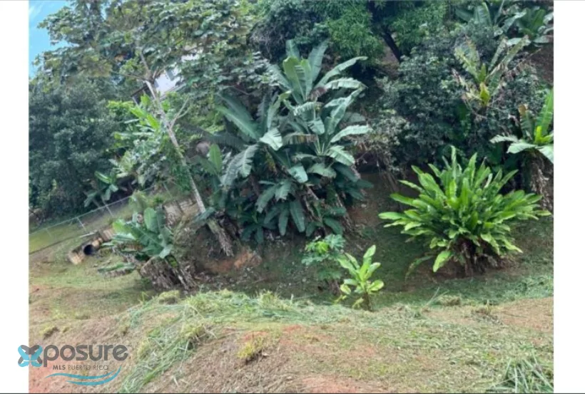 Apartamento en Barrio Pueblo Caguas, caguas - foto 7
