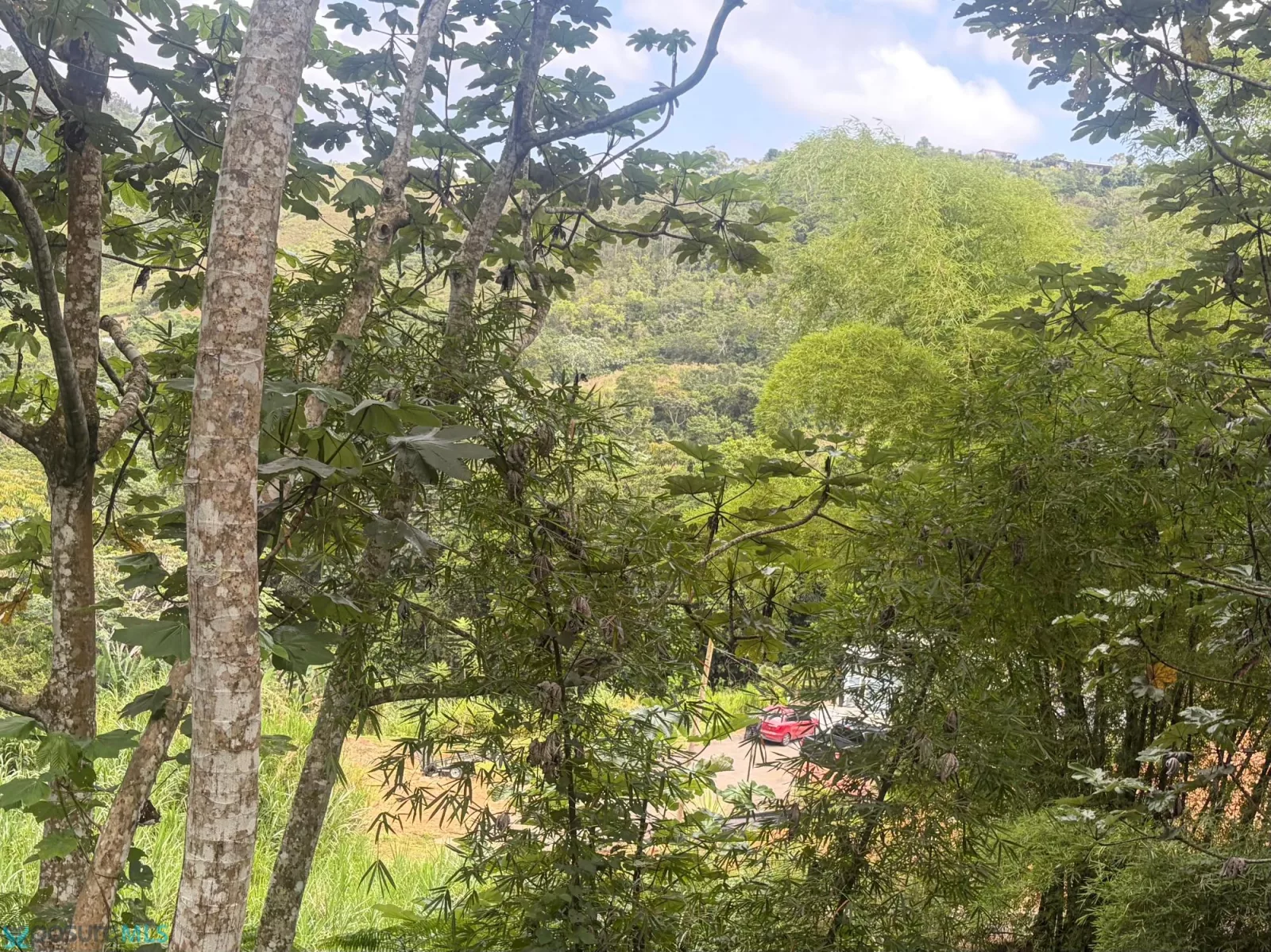 Foto 10