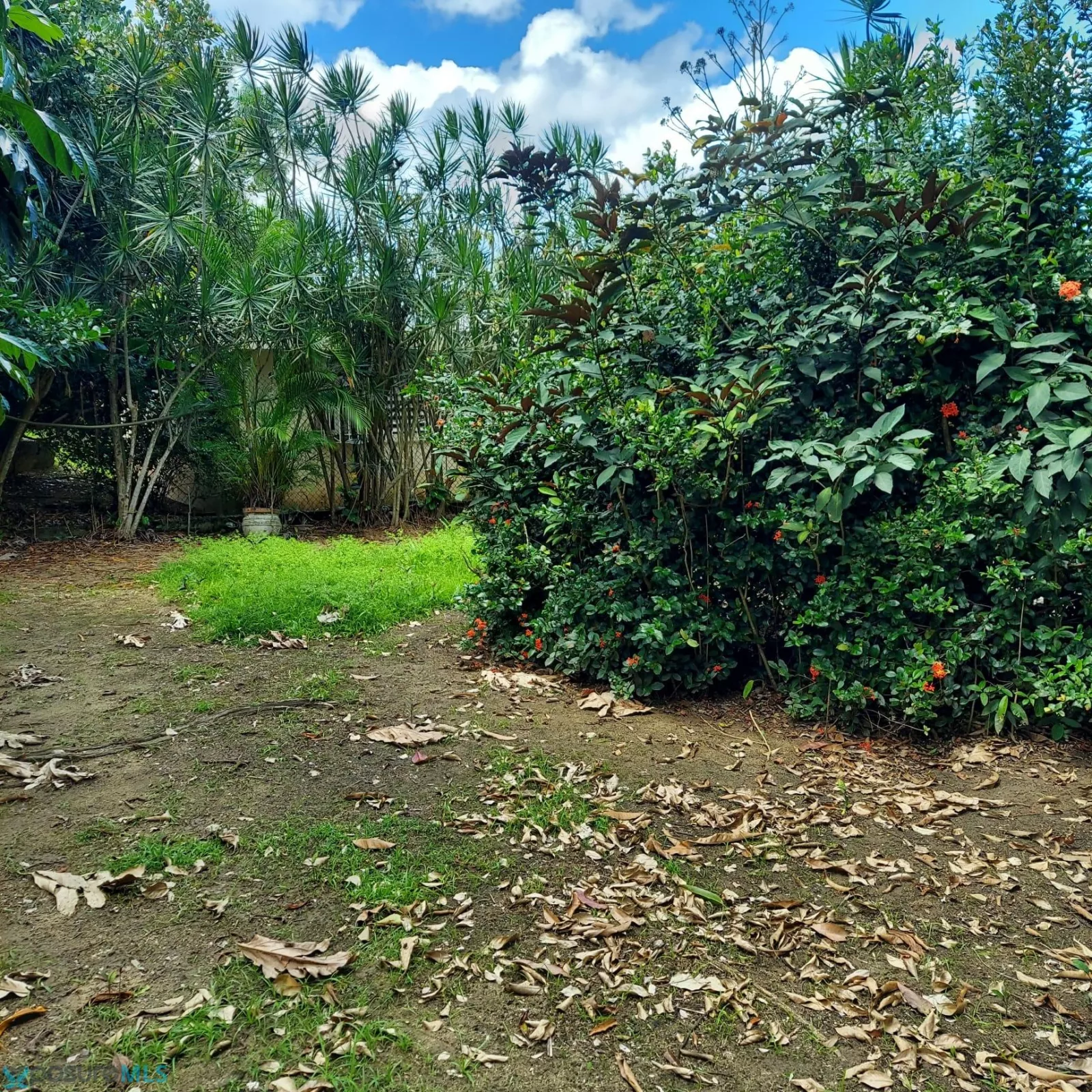 Foto 8