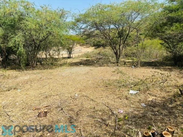 Sector Barinas