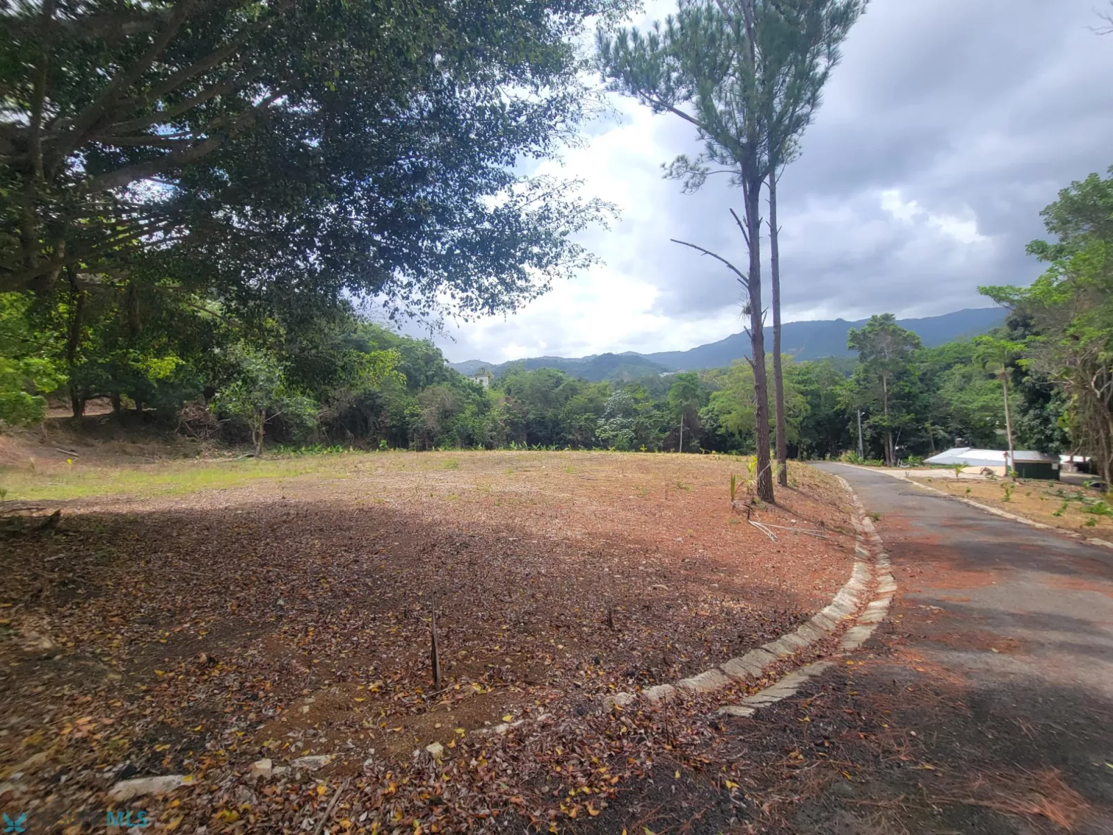 Barrio Turabo