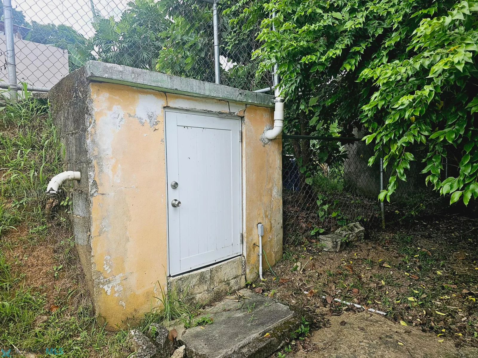 Foto 15