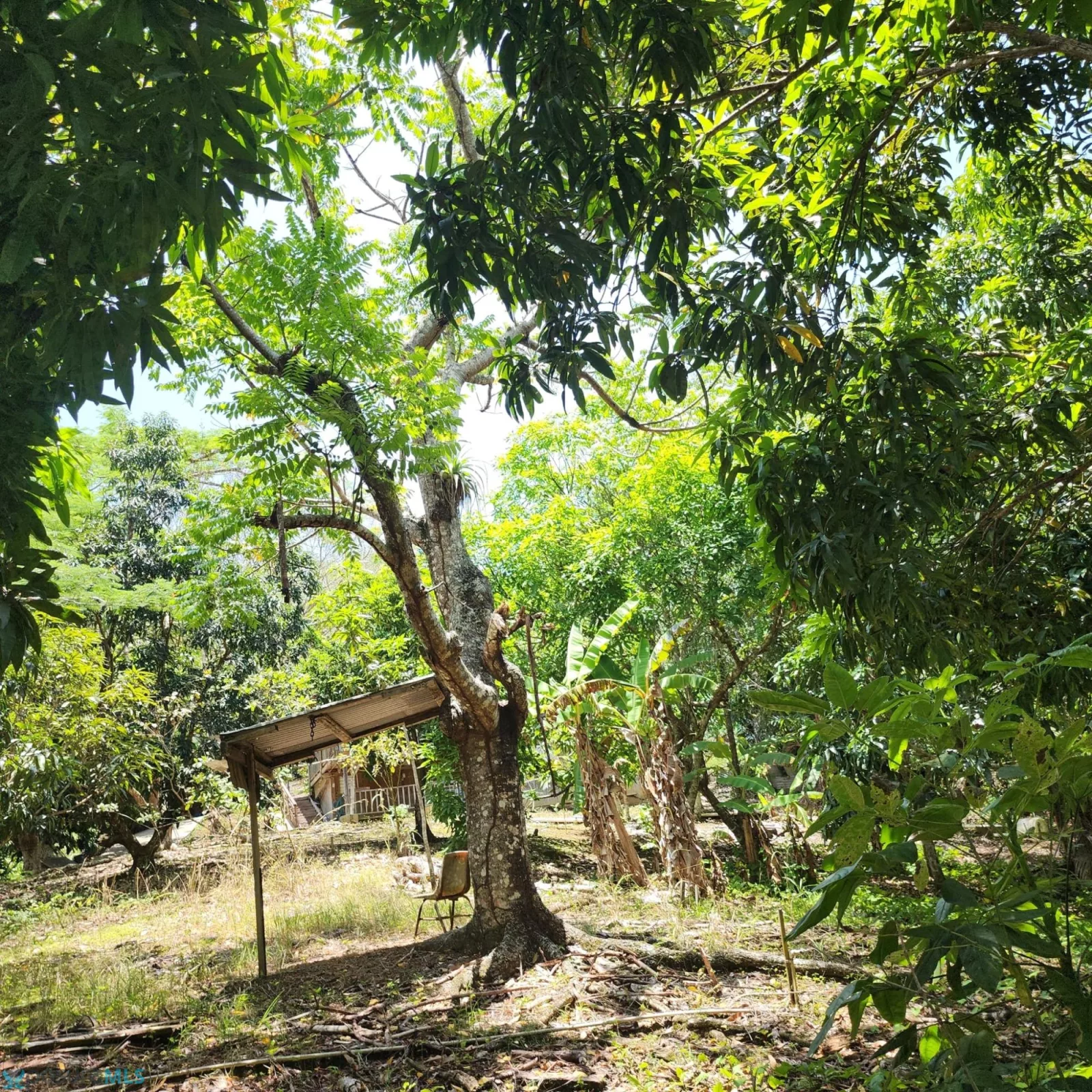 Foto 10
