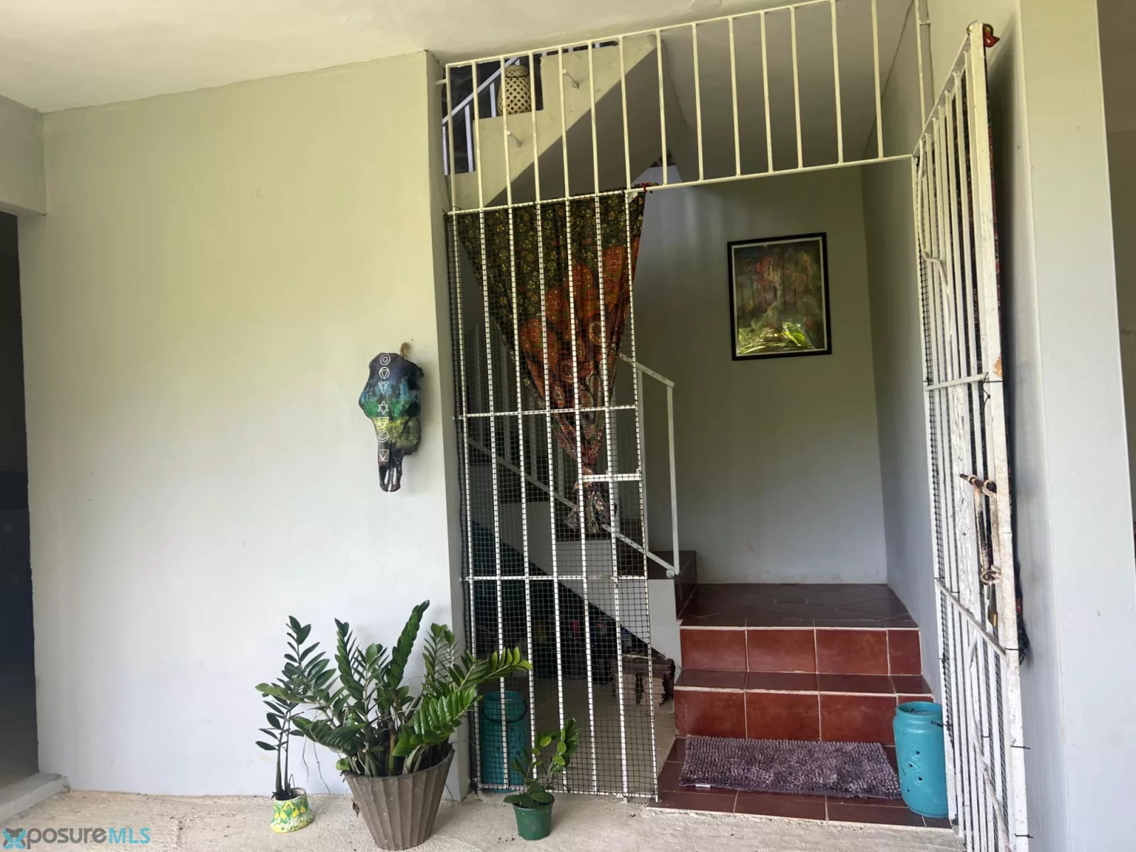 Foto 5
