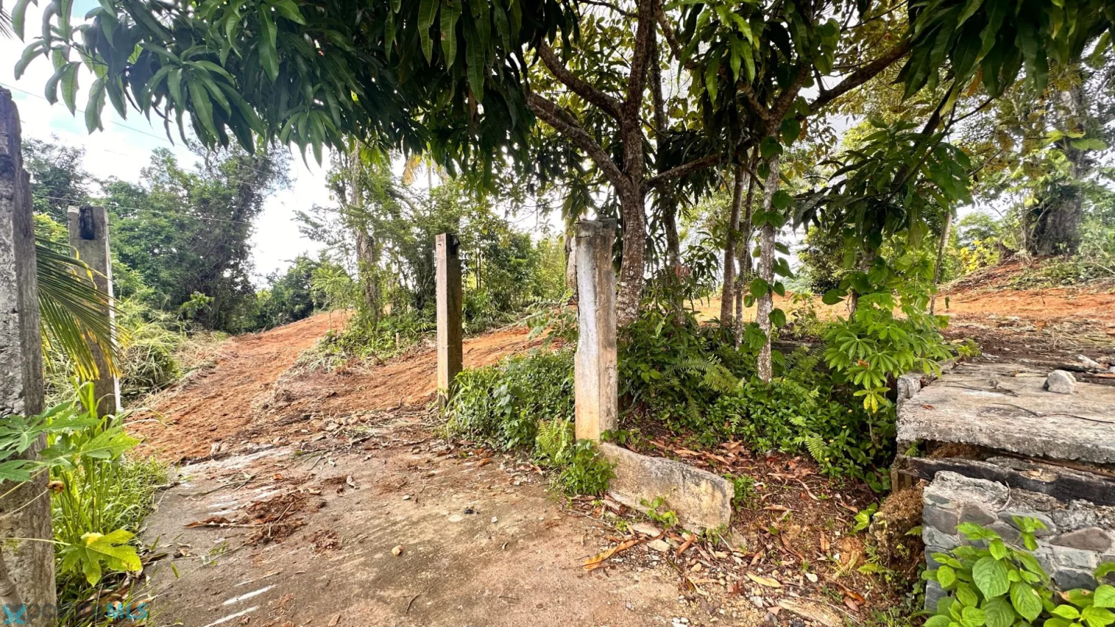 Foto 13