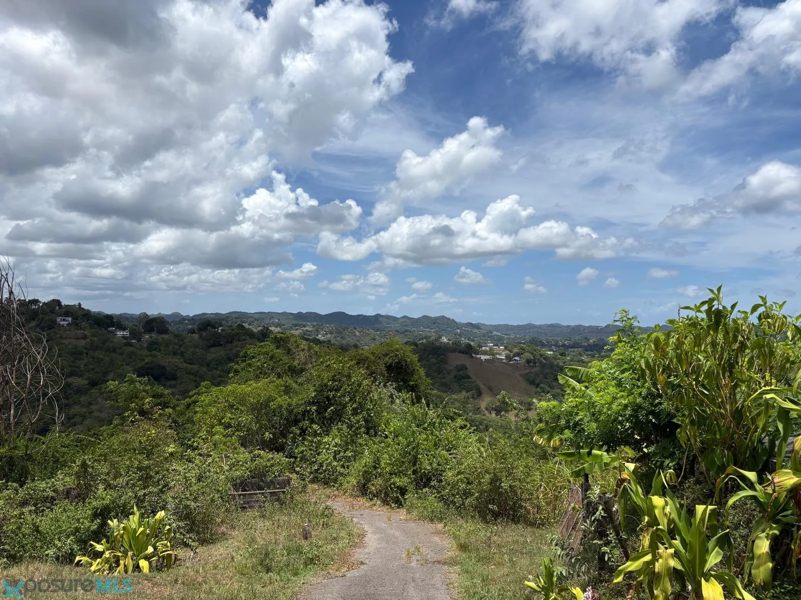 Barrio Dos Bocas