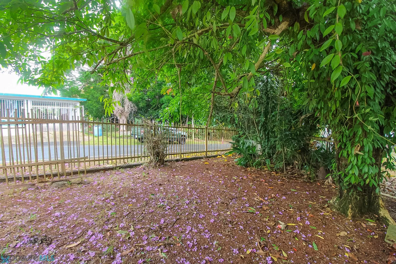 Foto 13