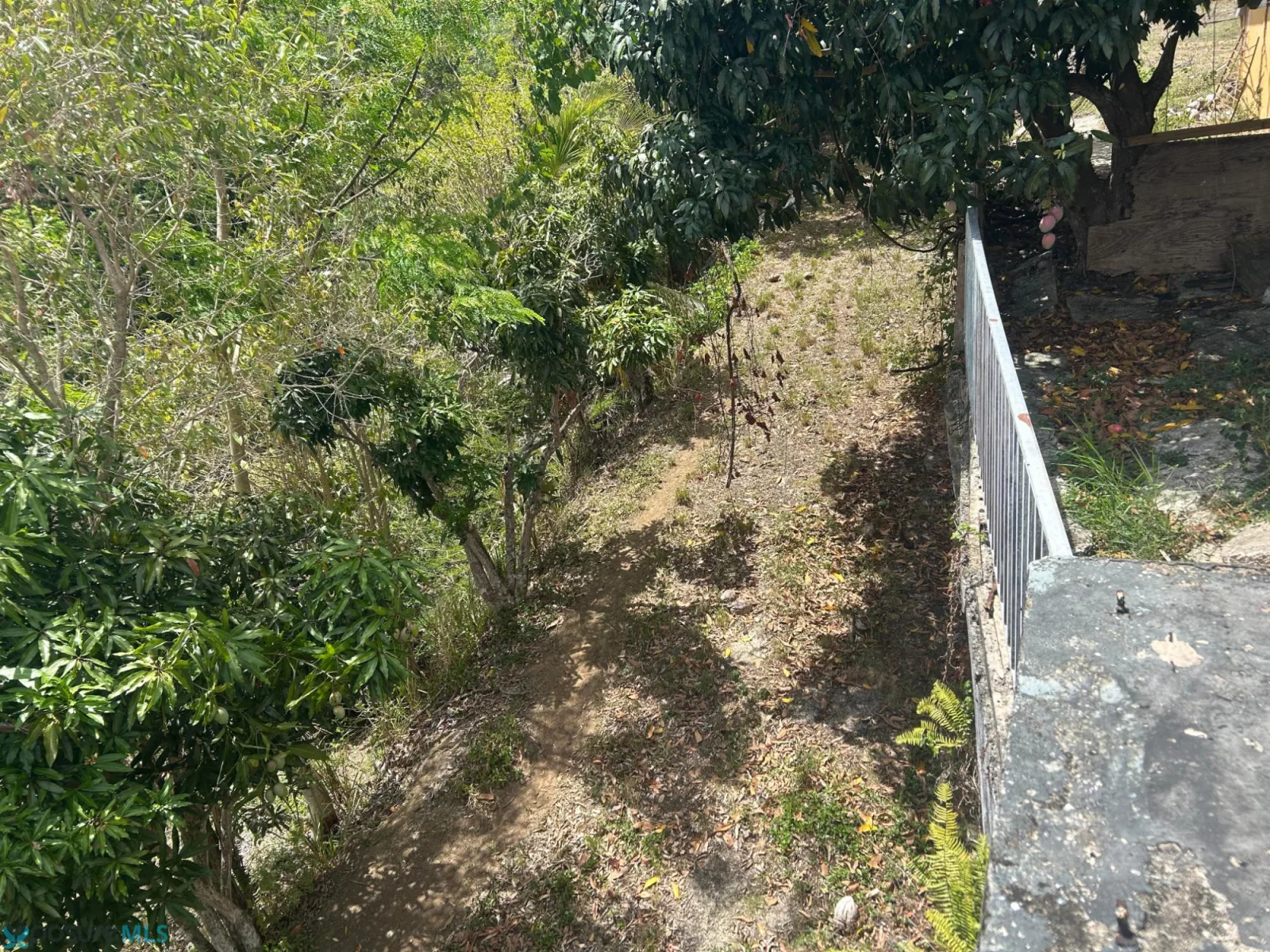 Foto 14