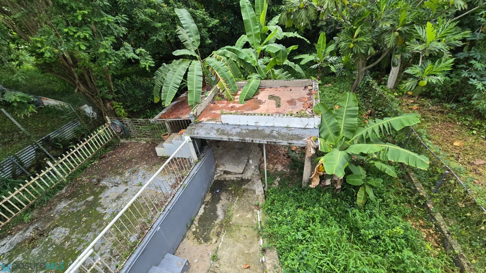 Foto 12