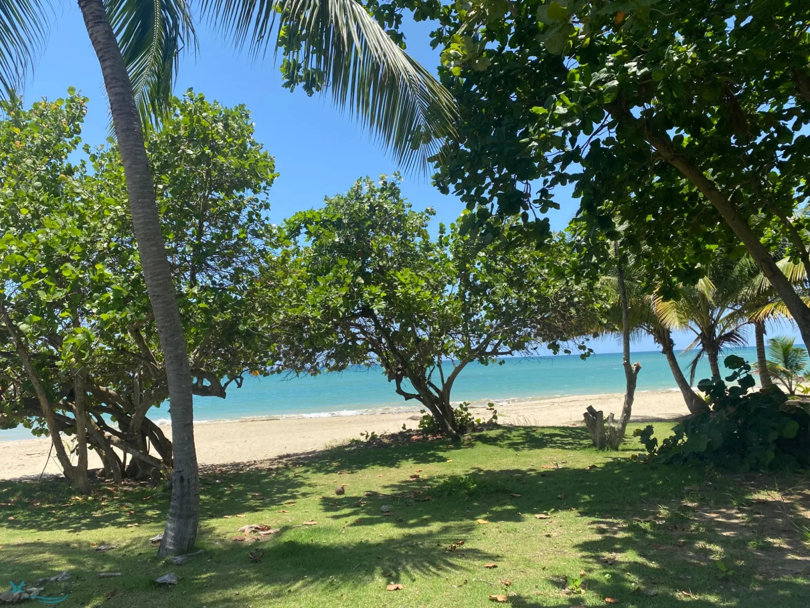 Apartamento en loiza - foto 3