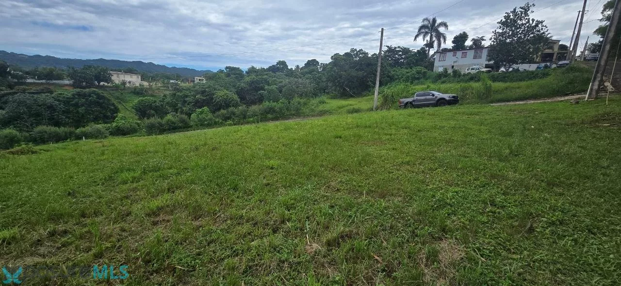 Terreno en Urb. Lomas Verdes, moca - foto 6